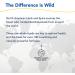 North American Herb & Spice Oreganol P73 - 1oz Wild Oregano Oil for Immune Support - Non-GMO & Organic - Buy Online on GoSupps.com