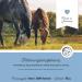 Annimally Zinc for Horses - High-Dose Zinc Pellets (700g) with Black Cumin Zeolite & Brewer's Yeast for Skin Hair & Hoof Health - Buy Online on GoSupps.com