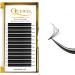 QUEWEL Easy Fan Lashes 0.12C Curl 8mm | Self Fanning Russian Lashes | 2D-20D Volume Extensions | Blooming 0.07D Curl 13mm | Pack of 1 - Buy Online on GoSupps.com