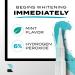 Rembrandt Teeth Whitening Gel Brush Deeply White 6% Hydrogen Peroxide Whitening Pen Tooth Whitening - Mint - 0.059 Oz - Buy Online on GoSupps.com
