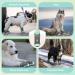 Slowton Dog Shoes - Breathable Non-Slip Boots for All Dog Sizes | Adjustable Reflective Velcro | Paw Protection for Outdoor Adventures - Buy Online on GoSupps.com