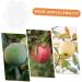 KONTONTY Fruit Shaper Vegetable Shaped Growth Fruitful to Play with Vegetable Fruit Shaping - Buy Online on GoSupps.com