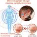ExQst Lymphvity Magnetic Therapy Germanium Earrings | Acupressure Slimming & Lymphatic Drainage | 2PCs for Men & Women - Buy Online on GoSupps.com