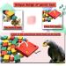 MQUPIN Bird Chewing Toy for Small Parrots - Multicolored Wooden Blocks - Ideal for Cockatiels & African Greys (S-20 inch) - Buy Online on GoSupps.com
