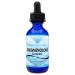 Absonutrix Pregnenolone Supplement 100mg 4 Oz Liquid 200 Servings Made in USA Quick Absorption Quality Potent Ingredients Third-Party Tested Non-GMO GMP Certified Cruelty-Free Products