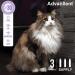 Advanllent Flea and Tick Prevention for Cats - Natural Essential Oil Treatment - 3 Doses - Buy Online on GoSupps.com