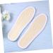 NOLITOY Loofah Pad Insoles - Sweat Absorbing Breathable Shoe Cushions - 1 Pair Assorted Colors | 23x7.5cm for Ultimate Comfort - Buy Online on GoSupps.com