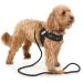 Doodlebone Pattern Boomerang Dog Harness - Smokey Camo 6-7 - Buy Online on GoSupps.com