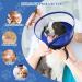 Yoolhamy Inflatable Dog Collar with Enhanced Anti-Licking Baffle | 2-in-1 Removable Cone for Small, Medium, Large Dogs | Soft Recovery Collar to Prevent Scratching | M+ Size - Buy Online on GoSupps.com