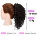 Short Afro Drawstring Ponytail 10 Inch Kinky Curly Ponytail Drawstring Afro Puffs Curly Ponytail Extension Synthetic Hairpieces for Black Women 10 Inch 2# - Buy Online on GoSupps.com