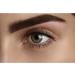 L'Oreal Paris High Contour Brow Pencil & Highlighter Duo 107 Cool Brunette - 1 Count - Buy Online on GoSupps.com