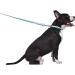 Now House for Pets by Jonathan Adler Dog Leash - Fashionable Chromatic Standard Lead for Dogs - Buy Online on GoSupps.com