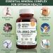 Natural Nutra Calcium Magnesium Zinc Supplement with Vitamin D3 - 100 Count, Gluten & Sugar Free Essential Mineral Complex for Bone Strength & Health - Buy Online on GoSupps.com