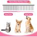 6 in 1 Professional Dog Grooming Scissors Kit with Safety Round Tips - Titanium Coated Stainless Steel Shears for Pets - Pink - Buy Online on GoSupps.com