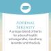 Natural Factors Stress-Relax Serenity Formula - 60 Vegetarian Capsules with Sensoril - Buy Online on GoSupps.com