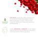 Buy JIGOTT ROSE Flower Energizing Cream 100ml - Nourishing Moisturizer for Glowing Skin | International Shipping Available - Buy Online on GoSupps.com