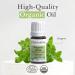 Oregano Essential Oil - 100% Pure & Natural (5ml) | Pranarom - Therapeutic Grade USDA & ECOCERT Certified Organic for Diffusing & Cleaning - Buy Online on GoSupps.com