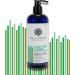 Mill Creek Botanicals Aloe Vera & Paba Lotion 14 oz Pack of 2 - Buy Online on GoSupps.com