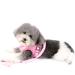 Ranphy Cat Dishes & Adjustable No-Pull Leash | Reflective Small Dog Harness - Soft Mesh Padded Hiking Jacket (L Chest 44cm) - Pink - Buy Online on GoSupps.com