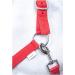 Buy RL24 Nylonhaler Basicline Red Shetty - Premium Quality Horse Equipment | Fast International Shipping - Buy Online on GoSupps.com