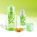 SOLINOTES Musk Perfume for Women - Eau De Parfum | Delicate Floral and Soothing Scent - Made in France - Vegan - 0.5 fl.oz - Buy Online on GoSupps.com