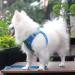 Suredoo Dog Harness for Small Dogs - Reflective & Breathable with Leash | XS Blue Checked | Perfect for Puppies & Medium Dogs - Buy Online on GoSupps.com
