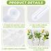 50 Pcs Floral Water Tubes with Rack Holder - Flower Vials for Milkweed Cuttings and Arrangements - Buy Online on GoSupps.com