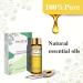 PHATOIL Chamomile Essential Oil 10ML - 100% Pure & Undiluted - Cruelty-Free - Perfect for Diffusers - Home Aromatherapy - 10.00 ml - Buy Online on GoSupps.com
