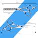 Hairdressing Scissors Kit - Professional Haircutting Set in Blue | Fcysy Thinning & Blending Shears for Hairdressers and Barbers - Buy Online on GoSupps.com