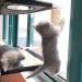 Oceskyha Cat Window Perch Hammock with Free Fleece Blanket - Extra Large & Sturdy Cat Bed for Indoor Resting - Space Saving Double-layer Flannel Design - Buy Online on GoSupps.com
