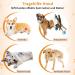 Premium Dog Harness for Hedge Aid | Comfortable & Durable Dog Gear for International Shipping - Buy Online on GoSupps.com