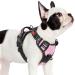 Rabbitgoo dog harness Small dogs dog harness without train adjustable dishes dog without chokes anti -train dog harness with handle softly padded reflective chest harness pink s (1 pack) pink