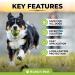Spot On Flea Treatment For Dogs | Natural Flea & Tick Repellent | Long Lasting & Effective Protection | 50ml - Buy Online on GoSupps.com