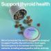 Thyroid Plus Gummies - Ashwagandha, Iodine, Bladderwrack, Kelp & Schisandra Support - Buy Online on GoSupps.com