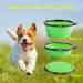 COMSUN Collapsible Dog Bowl - Portable Travel Pet Food & Water Dish with Carabiner (Green/Blue) - Buy Online on GoSupps.com
