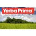 Yerba Prima PSYLLIUM Husk Veg Capsule 180 Cap - Buy Online on GoSupps.com