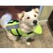 Vivaglory Neon Yellow Dog Rescue Vest Removable Front-Wheel Drive Reflective Caps & Upholstery for Swimming & Boating | XS (35-43cm Chest) - Buy Online on GoSupps.com
