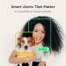 Petcube Bites 2 Lite - Interactive WiFi Pet Camera & Treat Dispenser with Sound Alerts - Buy Online on GoSupps.com