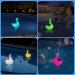 Kingsom Solar Floating Pool Thermometer with Color-Changing Swan Light - Easy Night Reading for Spa & Pool - Buy Online on GoSupps.com