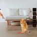 Cat Toys for Indoor Cats Kitten Pointer Toys Cat Pointer Toy for Indoor Tease Cats Pointer Toy Playing Training Chaser Interactive Pet Dogs Indoor Cats Kitten Red Light Pointer Toys Silver - Buy Online on GoSupps.com
