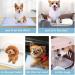 200 Pcs Puppy Pee Pads Training Puppy Pee Pads Super Absorbent & Leak-Proof Disposable Pet Piddle Pad and Potty Pads for Puppies Dogs Doggie Cats Rabbits 18 x 13 inch 200 Pcs- 18 x 13 inch - Buy Online on GoSupps.com