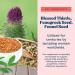 Lactation Support Supplement - Increase Milk Supply with Fenugreek, Blessed Thistle, Fennel, and Milk Thistle - Breastfeeding Supplements (120ct) - Buy Online on GoSupps.com