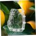 TOVINANNA 2pcs Fruit Shaping Cucumbers Fruit Transparent Forming Forming Machine Gourd As Shownx2pcs 11x10cmx2pcs - Buy Online on GoSupps.com