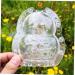 SHOWERORO Fruit Shaping Mold 2pcs Vegetable Shaping Mold Mini Accessories Transparent Forming Mold Adorable Fruit Mold Modeling - Buy Online on GoSupps.com
