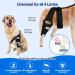 OaheLake Dog Knee Brace for Torn ACL Hind Leg Dog Hip Shoulder Elbow brace Support Dogs with ACL CCL Cruciate Ligament Injuries Patella Dislocation or Osteoarthritis for Both Back and Front Legs Large - Buy Online on GoSupps.com