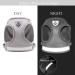 Kitten Harness Cat Harness Cat Lead and Harness Set Kitten Lead and Harness Set for Walking Travel Escape Proof Vest Harnesses for Small Animals Rabbit Mouse Cats XS Grey - Buy Online on GoSupps.com