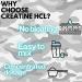 Clinical Dosage Creatine HCL Powder - Ice Punch Flavor (30 Servings) for Muscle Gain & Recovery - Buy Online on GoSupps.com