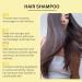  homomdy Mane Activating Shampoo Anti-Hair Loss Shampoo for Men and Women Natural Essence Darkens & Nourishes Repairs Smooths & Strengthens Hair Grows & Thickens (2 Pcs - Buy Online on GoSupps.com
