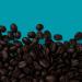 Coffee Direct Blue Sumatra Coffee Beans 908 g - Buy Online on GoSupps.com