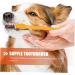 BESPORTBLE 8pcs Double Head Dog Toothbrush Pet Oral Pet Toothpaste Handheld Pets Toothbrush Pet Toothbrush Pp 1 count (Pack of 1) As Shown - Buy Online on GoSupps.com